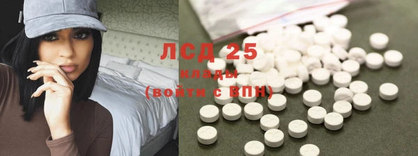 амф Новодвинск