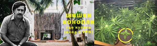 амф Новодвинск
