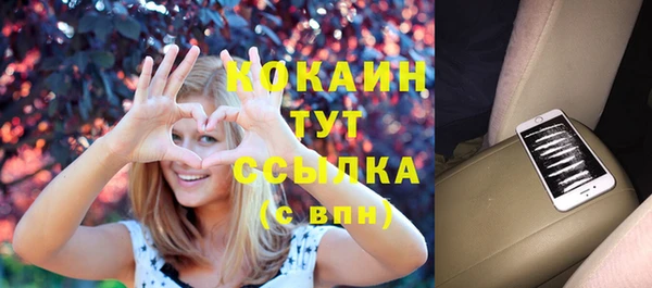 винт Нея