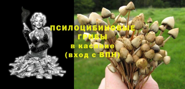 каннабис Новозыбков